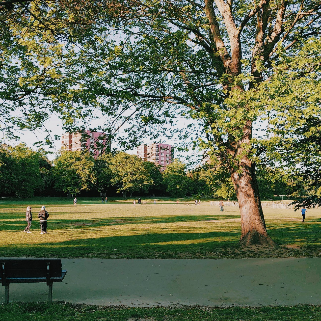 f:id:tomoeagle:20200506055812j:plain f:id:tomoeagle:20200506055812j:plain