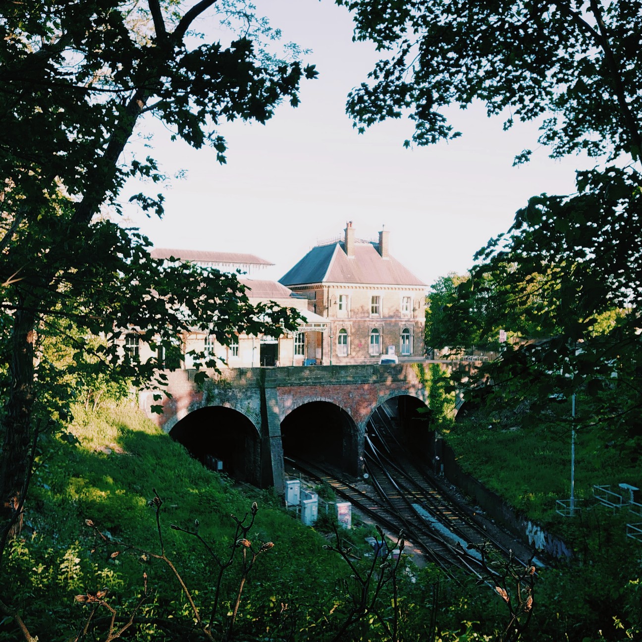 f:id:tomoeagle:20200508042658j:plain