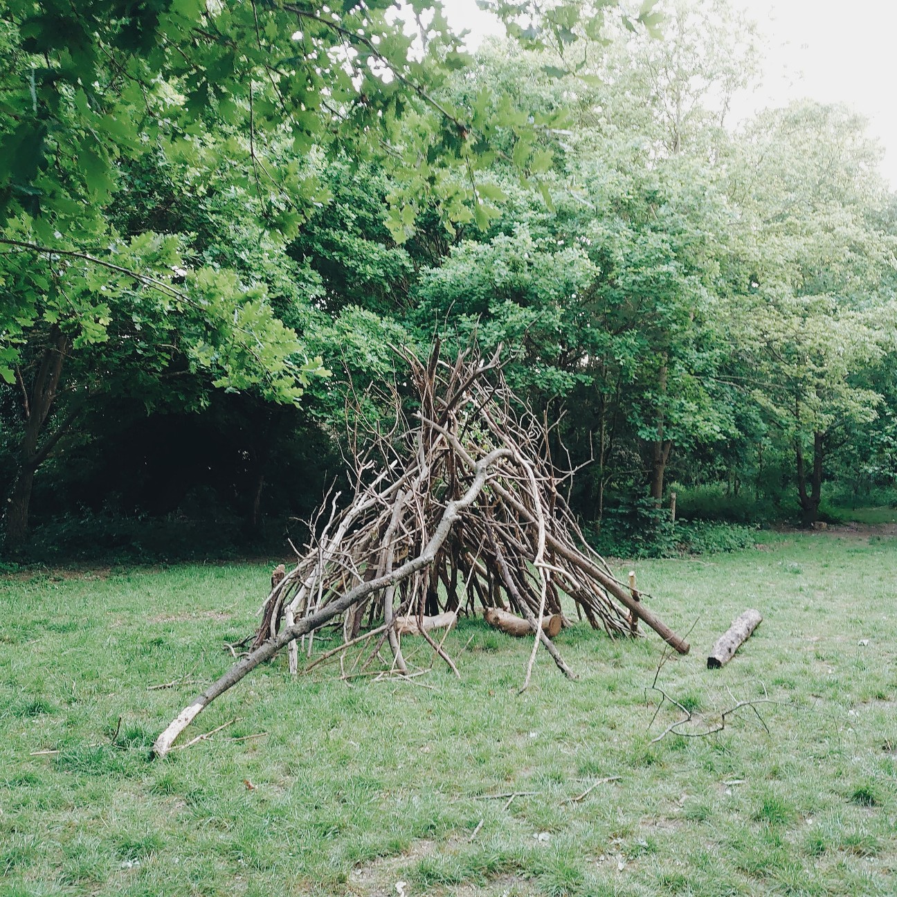 f:id:tomoeagle:20200516051432j:plain