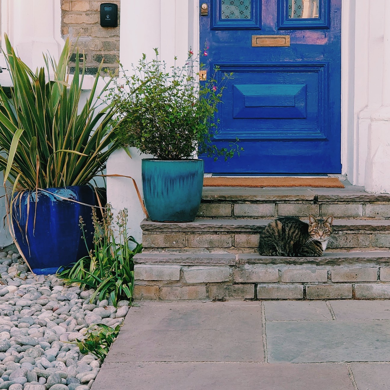 f:id:tomoeagle:20200516051440j:plain