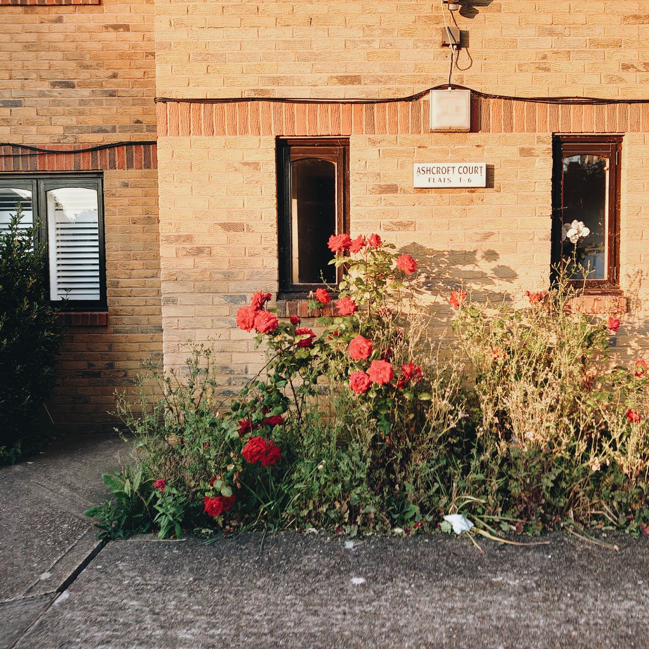 f:id:tomoeagle:20200516051557j:plain