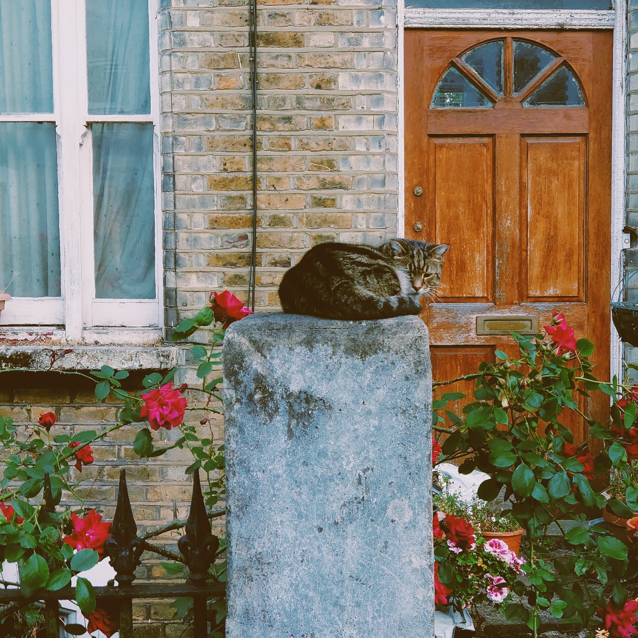 f:id:tomoeagle:20200520052634j:plain