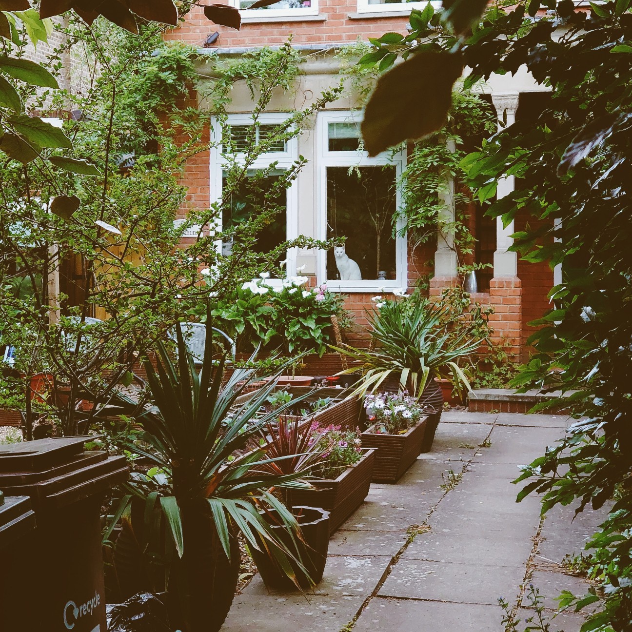 f:id:tomoeagle:20200520052914j:plain