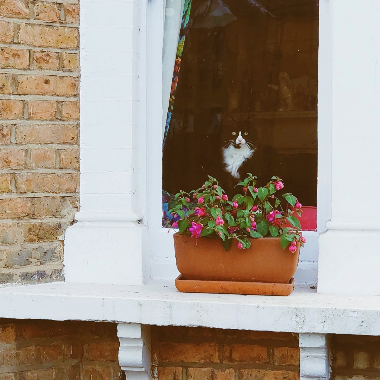 f:id:tomoeagle:20200520053022j:plain