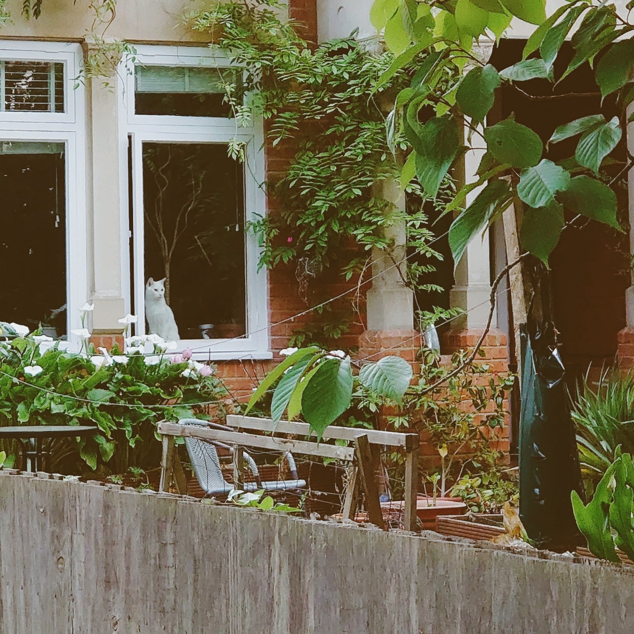 f:id:tomoeagle:20200520053231j:plain