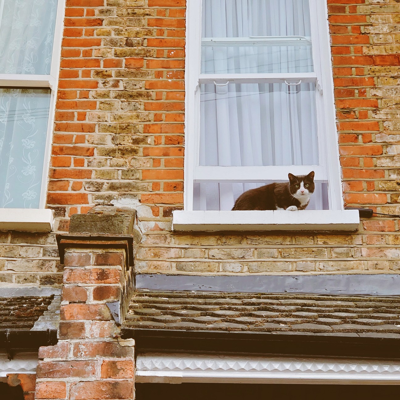 f:id:tomoeagle:20200520053522j:plain