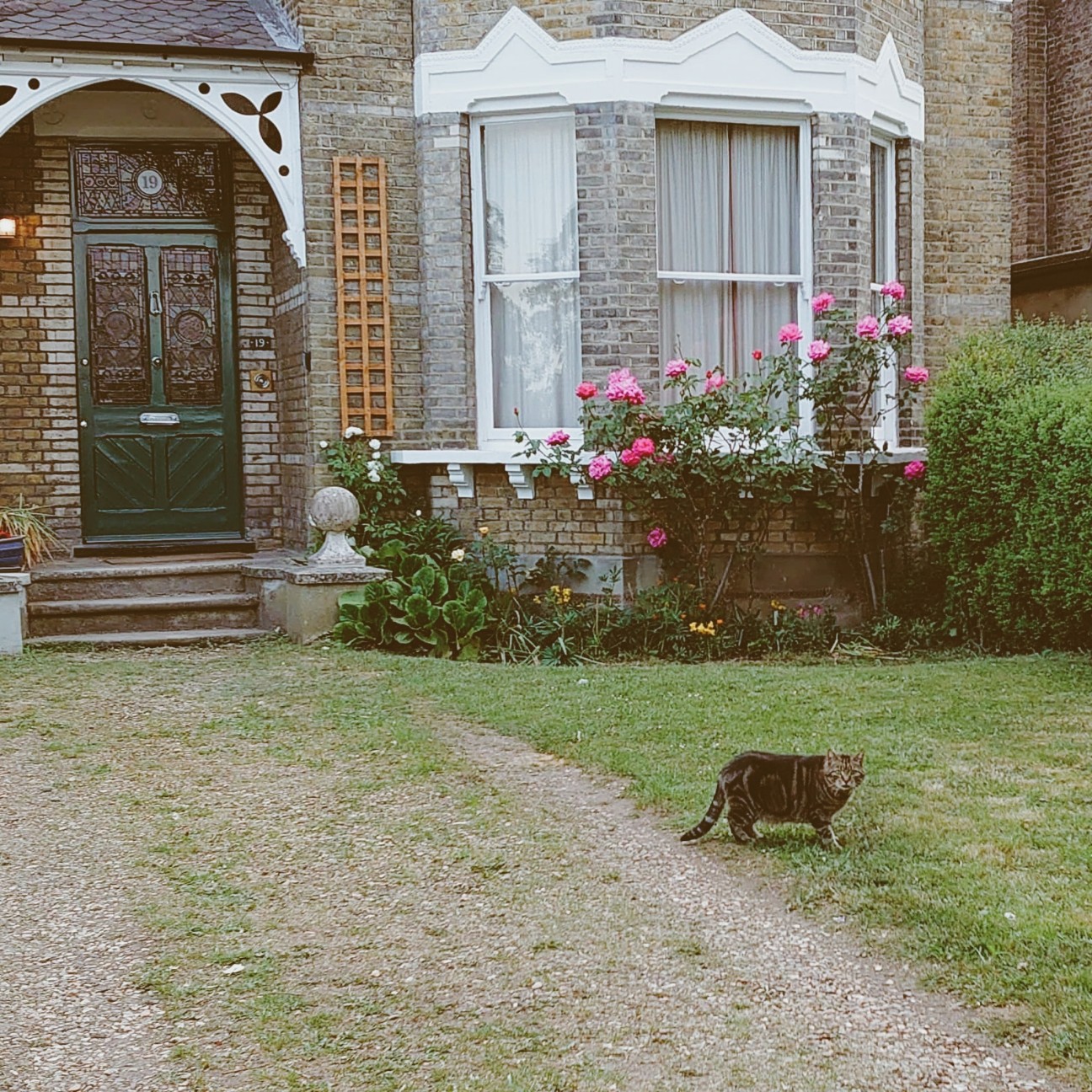 f:id:tomoeagle:20200520054259j:plain