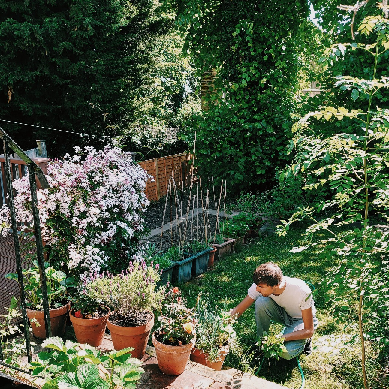 f:id:tomoeagle:20200524224511j:plain