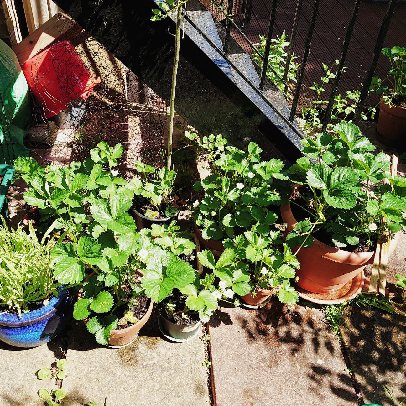 f:id:tomoeagle:20200525000023j:plain