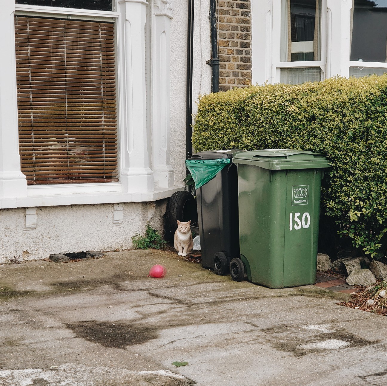 f:id:tomoeagle:20200614031720j:plain