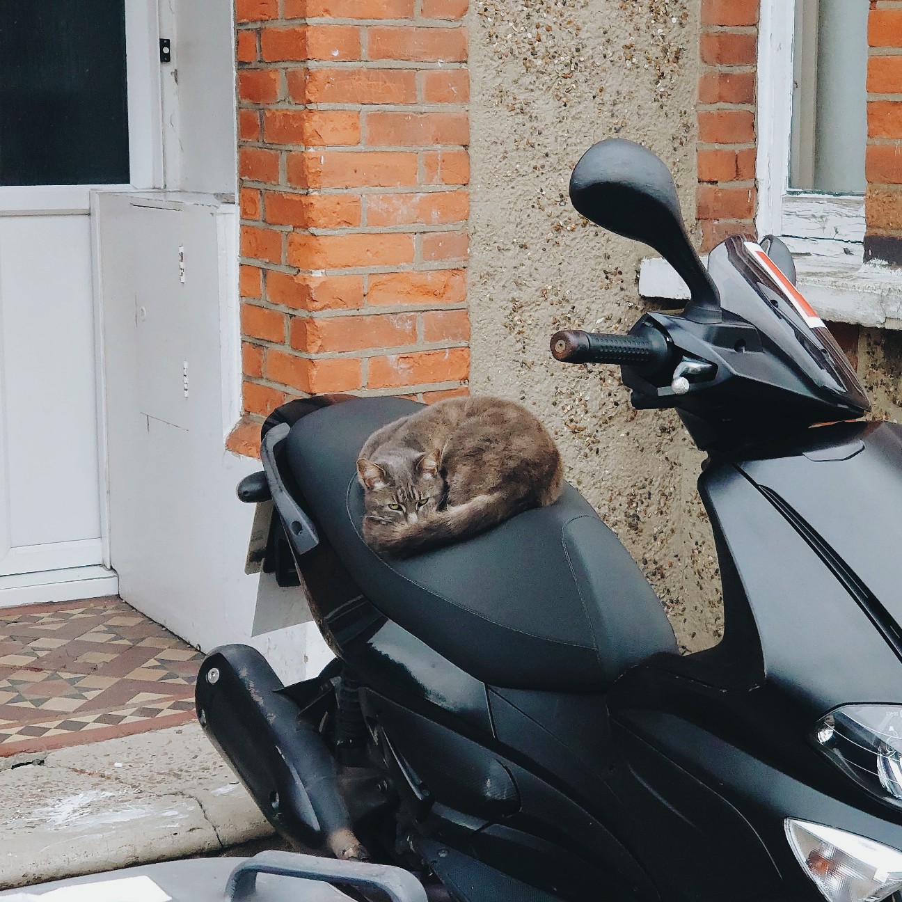 f:id:tomoeagle:20200614031856j:plain