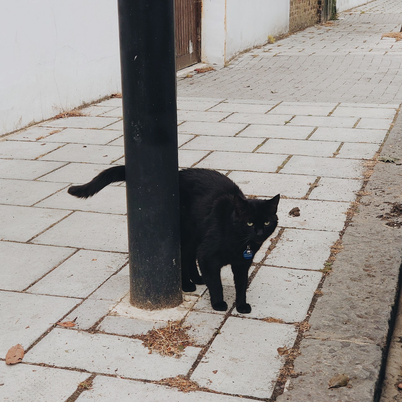 f:id:tomoeagle:20200614033138j:plain