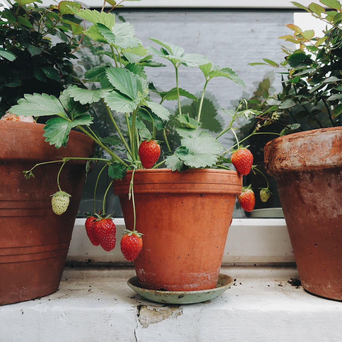 f:id:tomoeagle:20200621021002j:plain