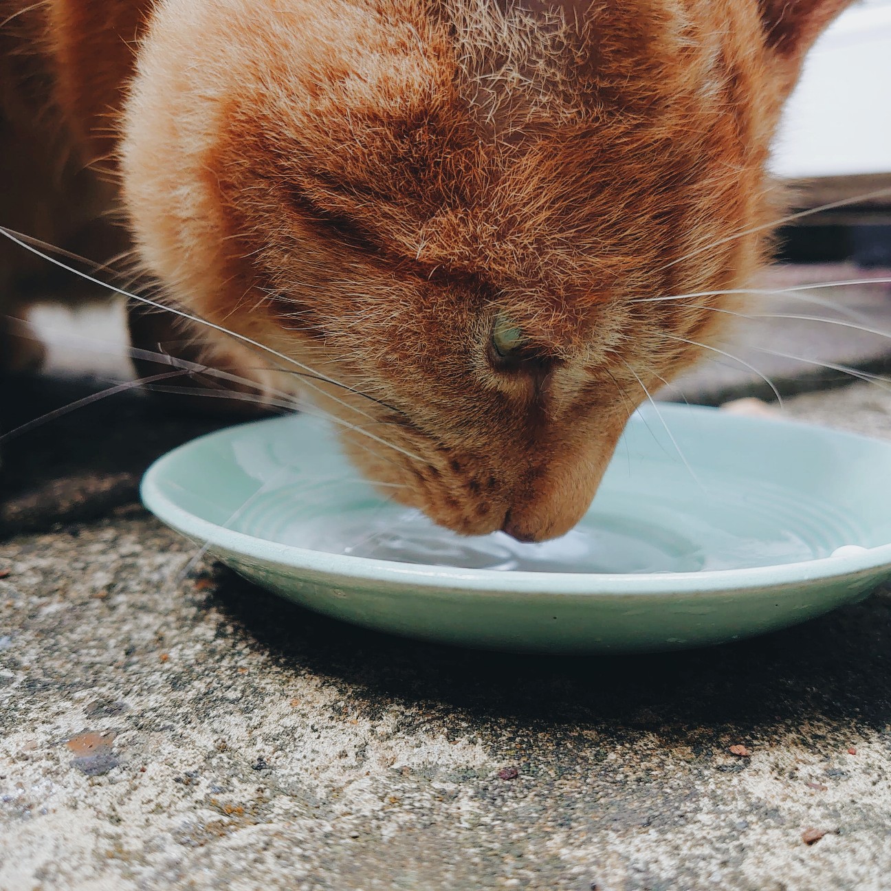 f:id:tomoeagle:20200621021130j:plain