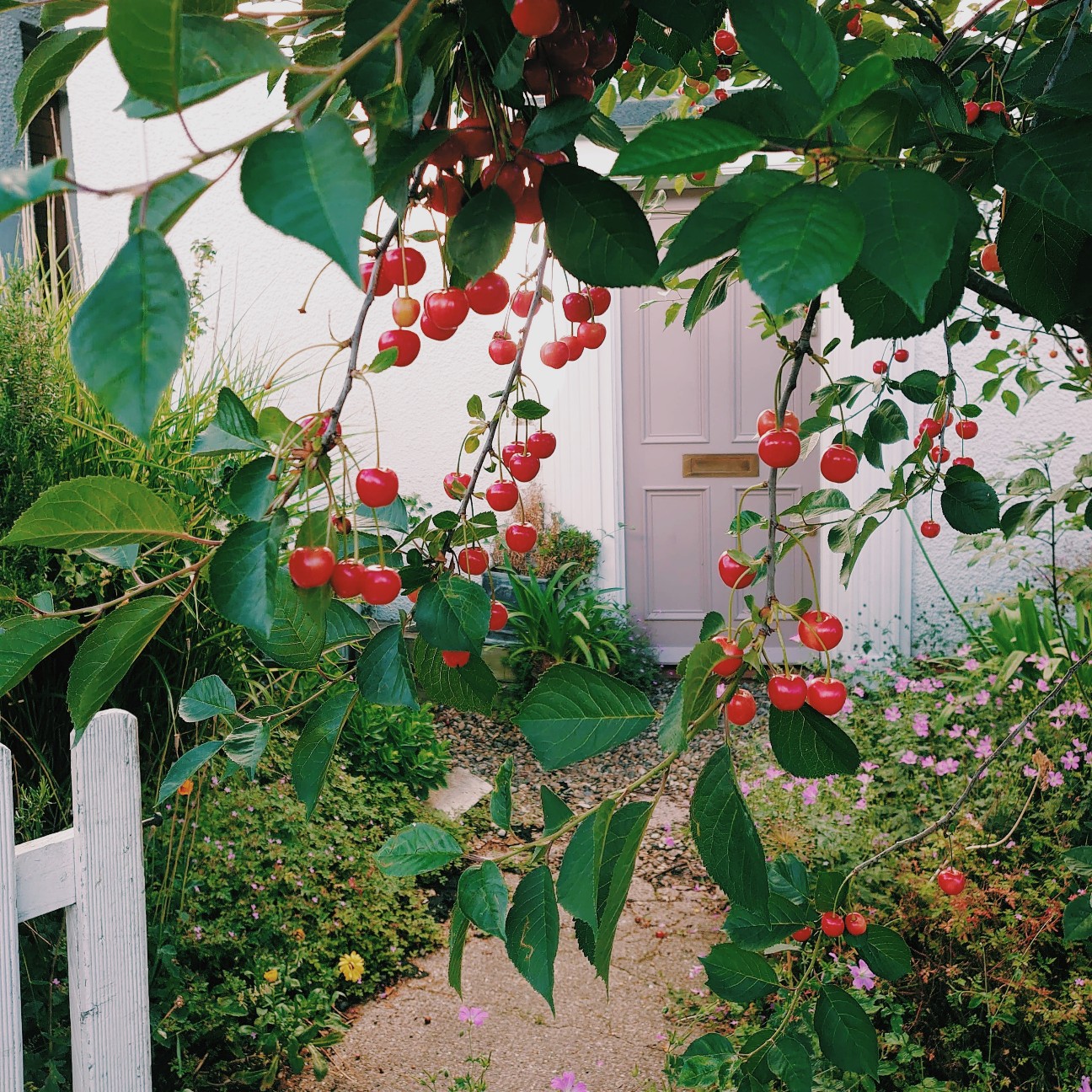 f:id:tomoeagle:20200621021728j:plain