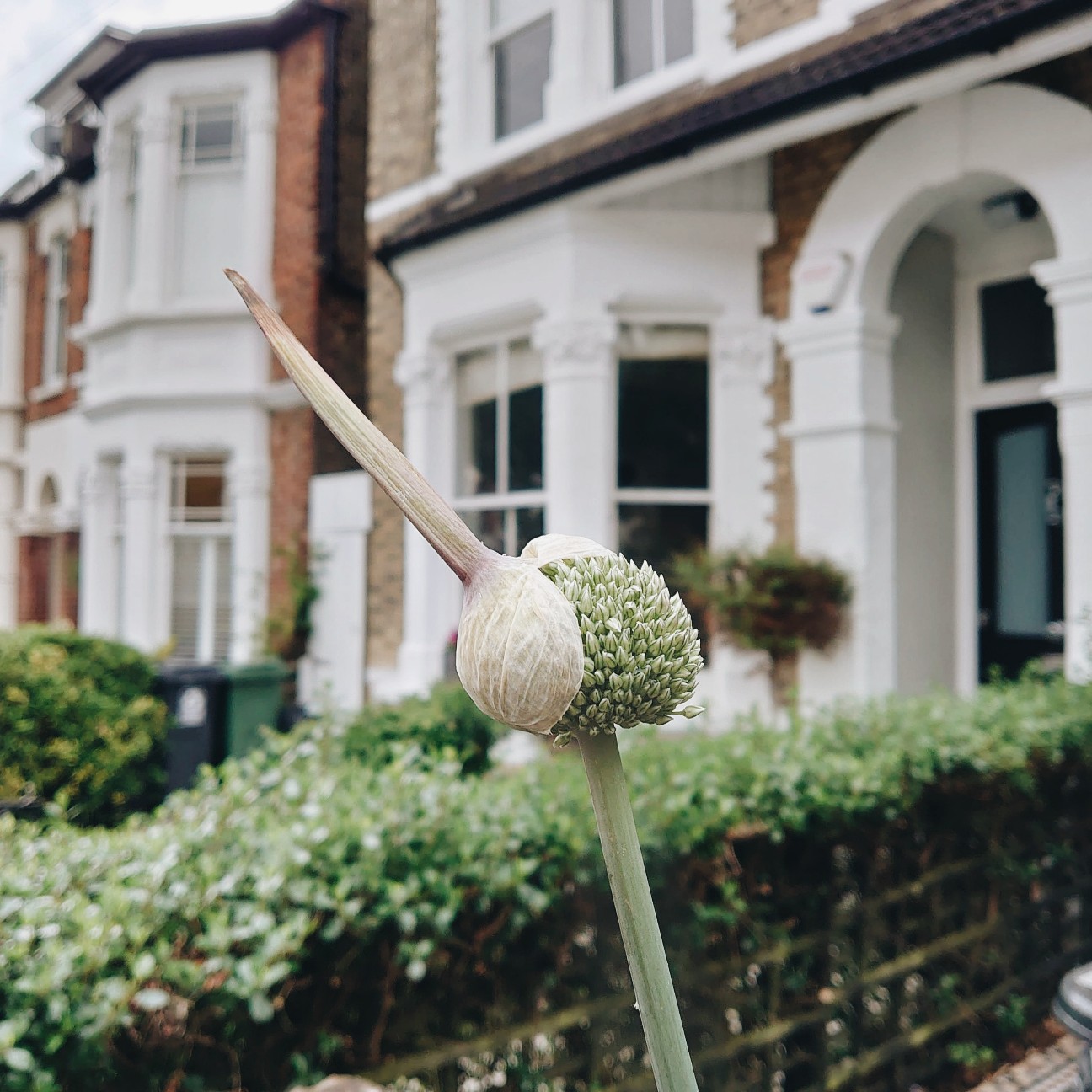 f:id:tomoeagle:20200621021944j:plain