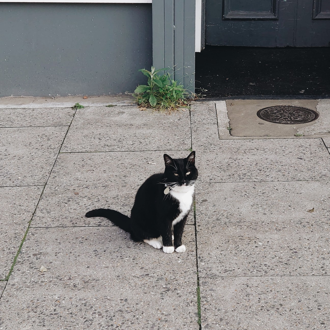 f:id:tomoeagle:20200621022030j:plain