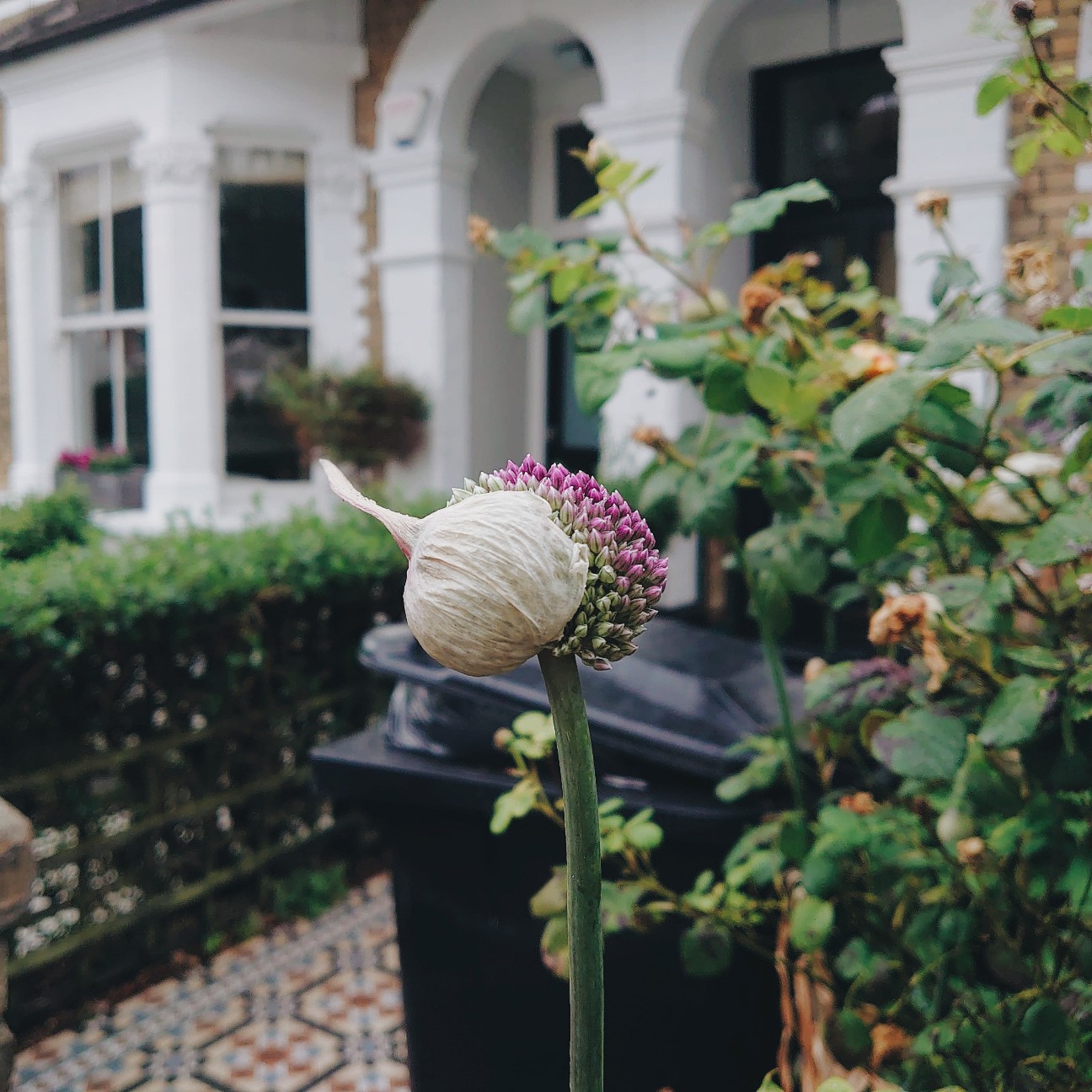 f:id:tomoeagle:20200621022344j:plain