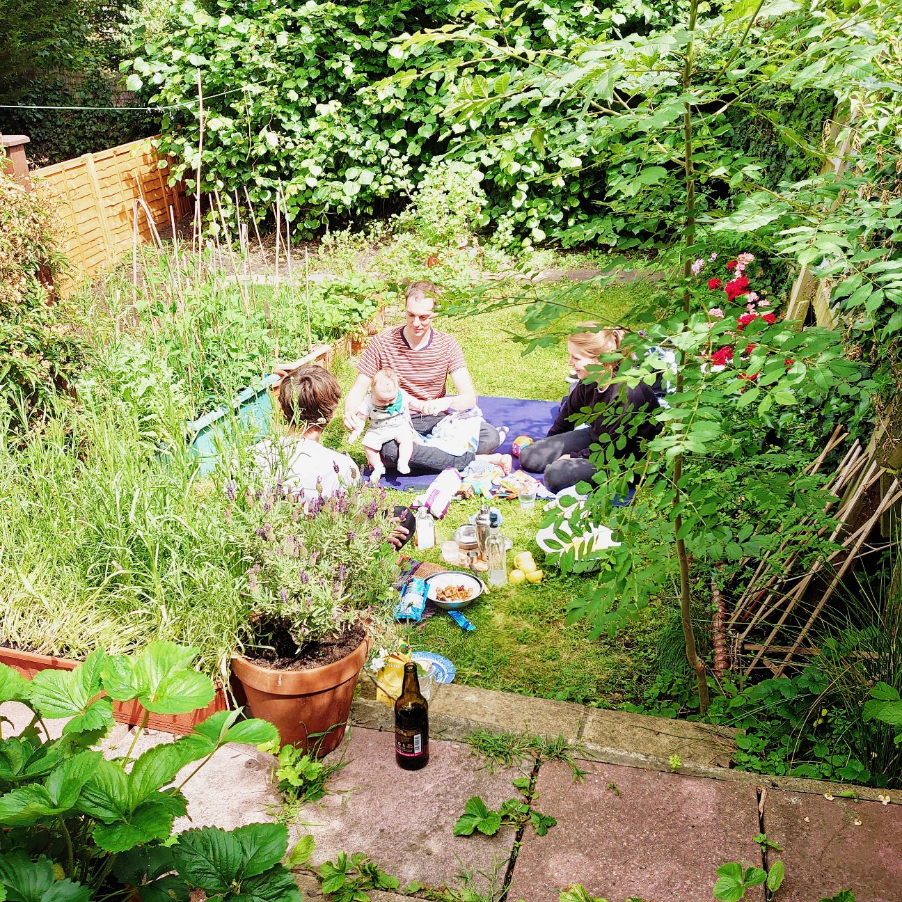 f:id:tomoeagle:20200621022452j:plain