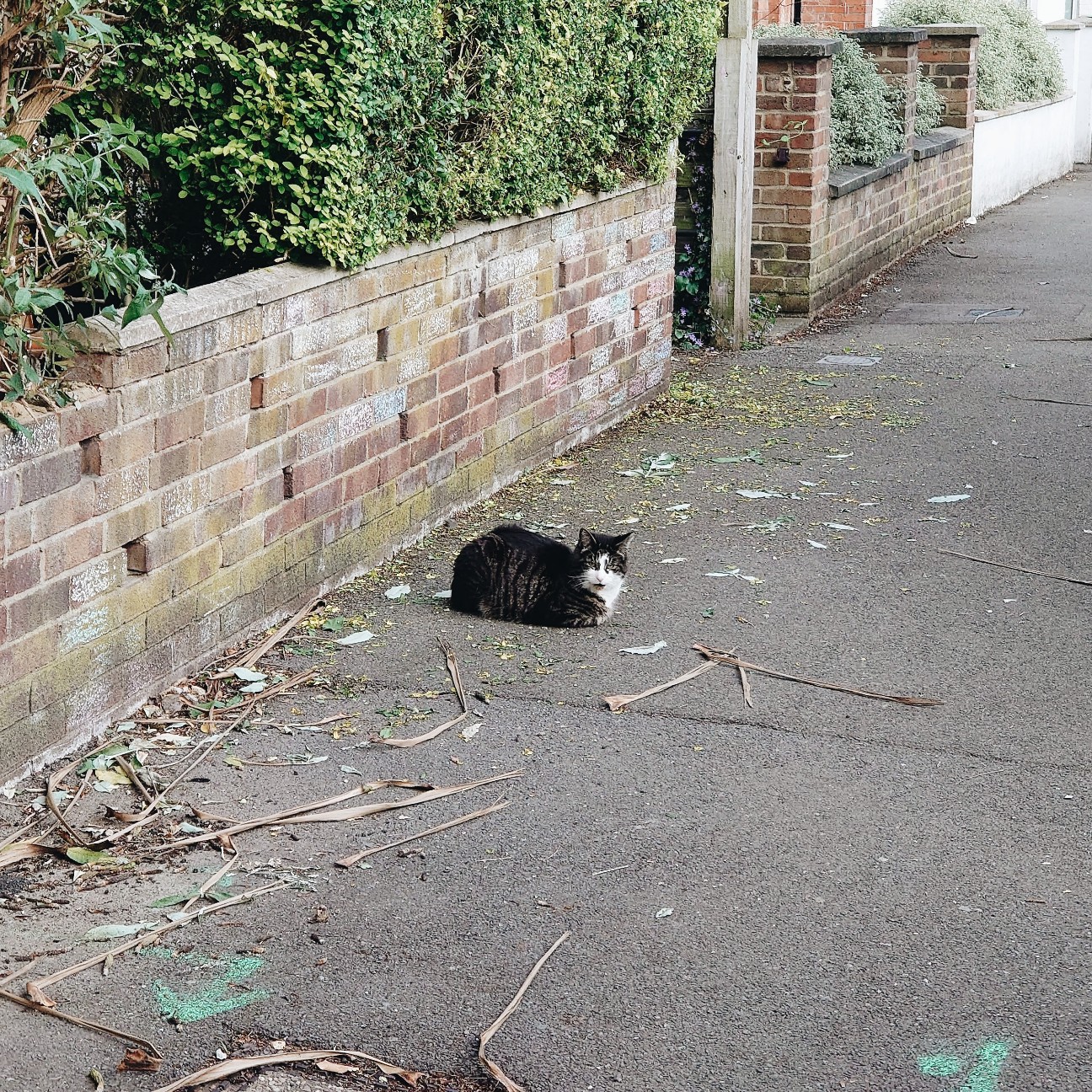 f:id:tomoeagle:20200621022653j:plain