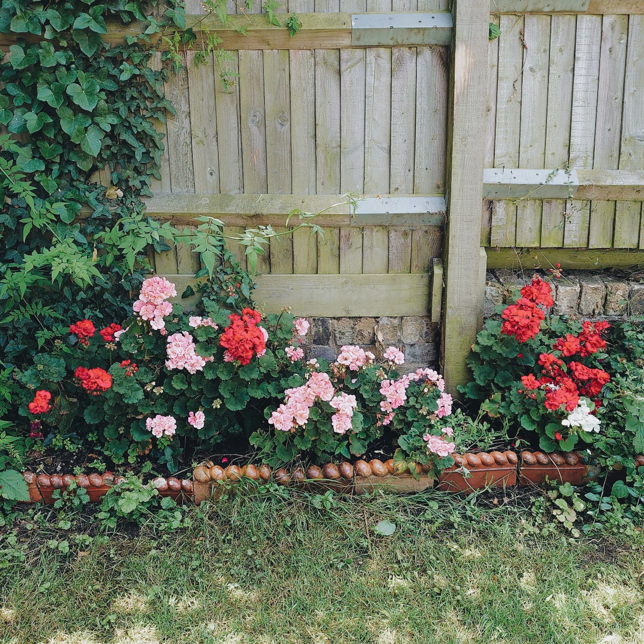 f:id:tomoeagle:20200621023338j:plain