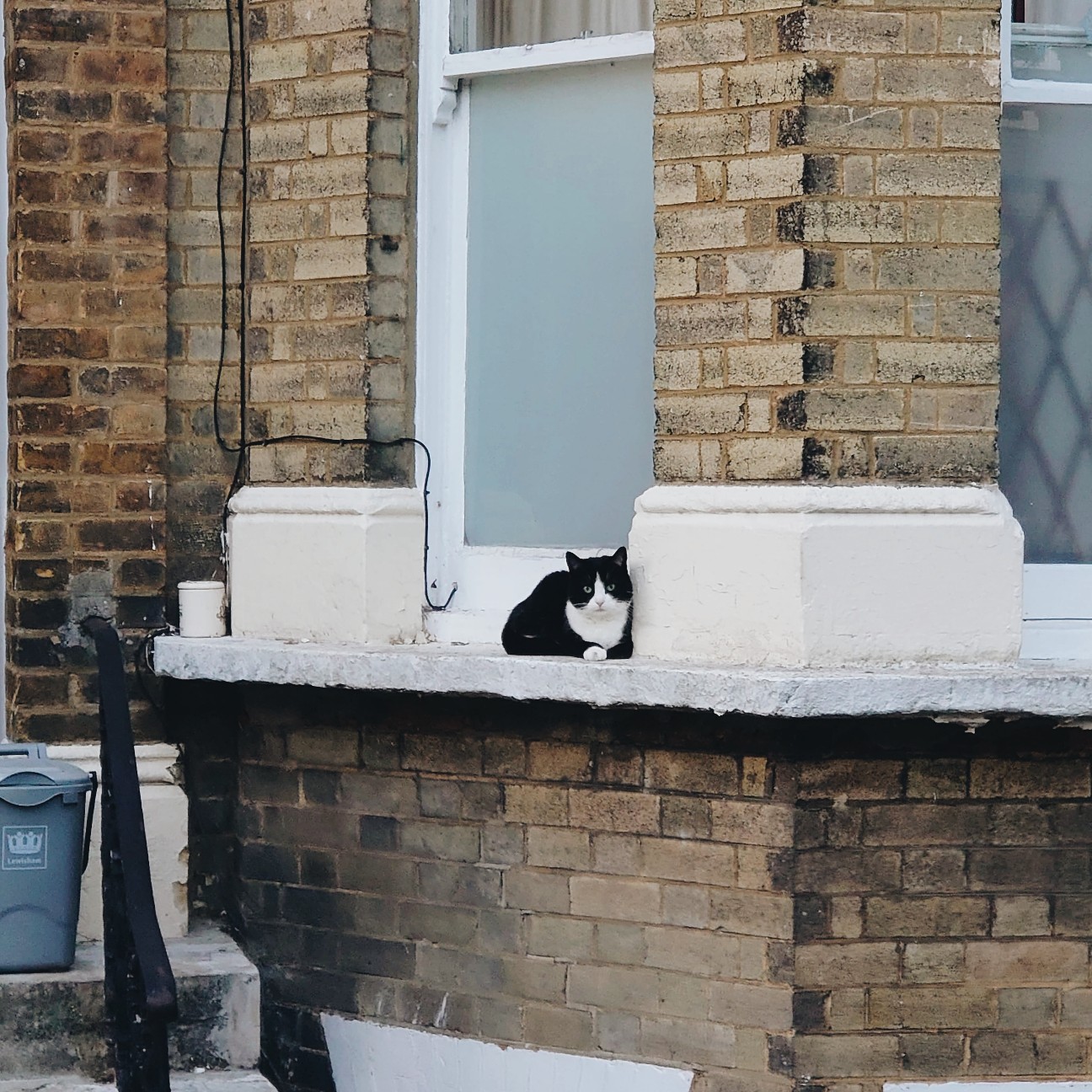 f:id:tomoeagle:20200629074503j:plain