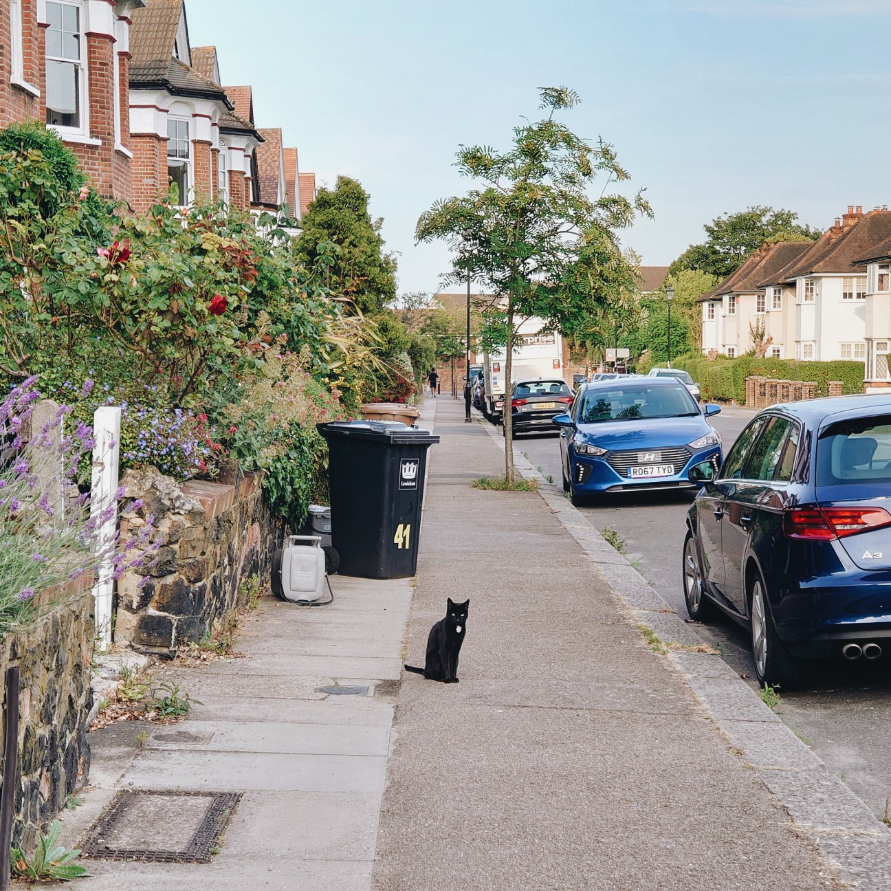 f:id:tomoeagle:20200629074606j:plain