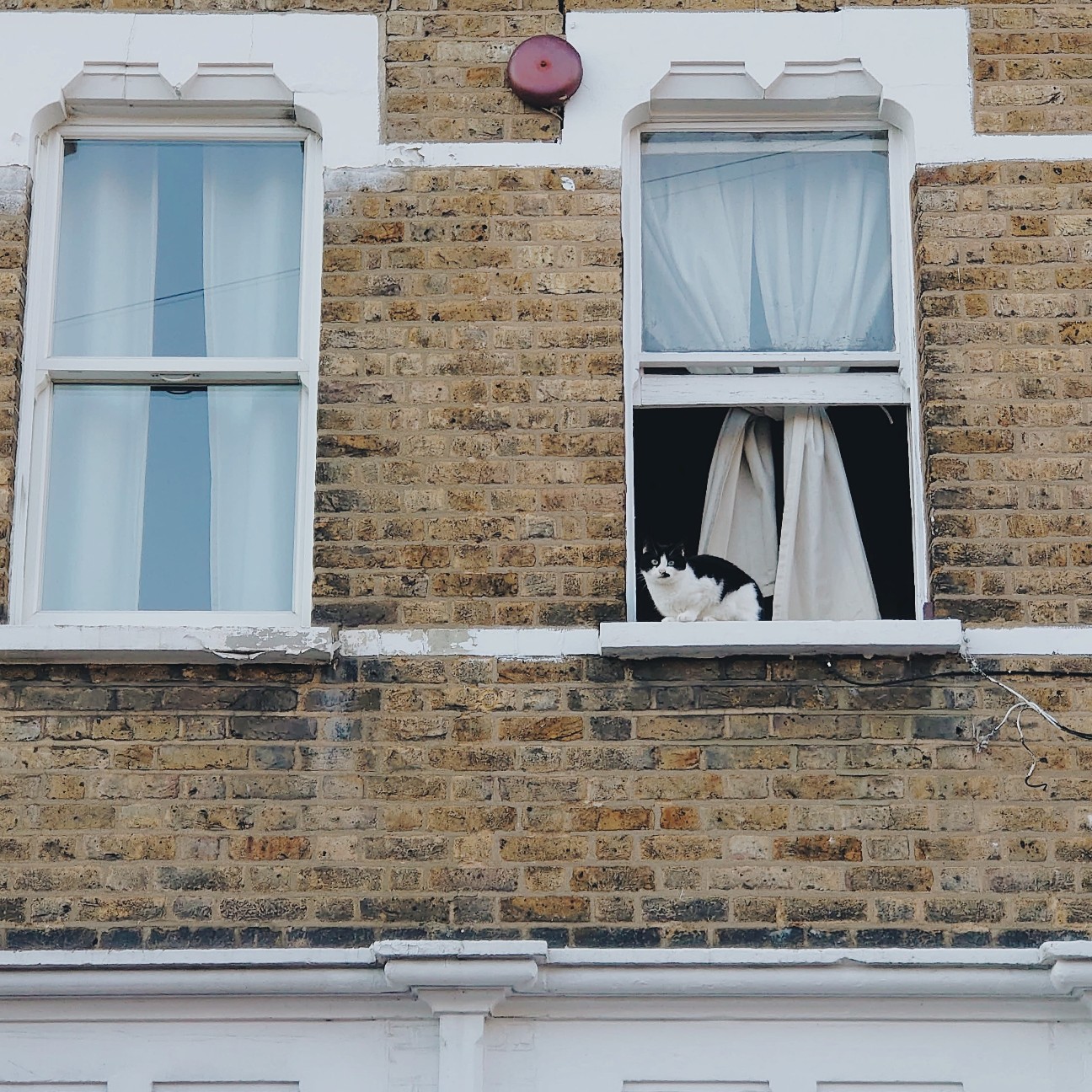 f:id:tomoeagle:20200629075000j:plain