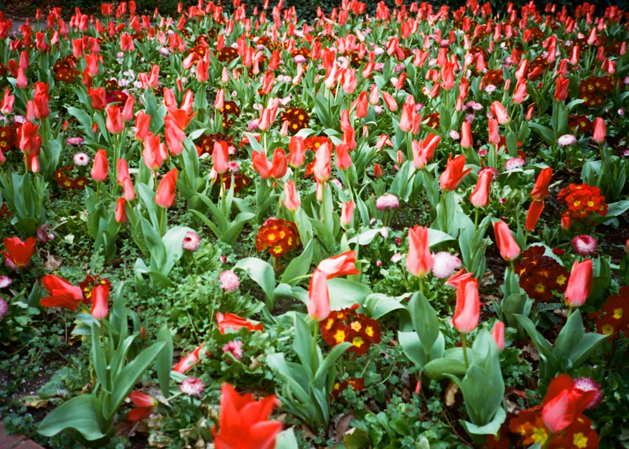 f:id:tomoeagle:20200708034718j:plain f:id:tomoeagle:20200708034718j:plain