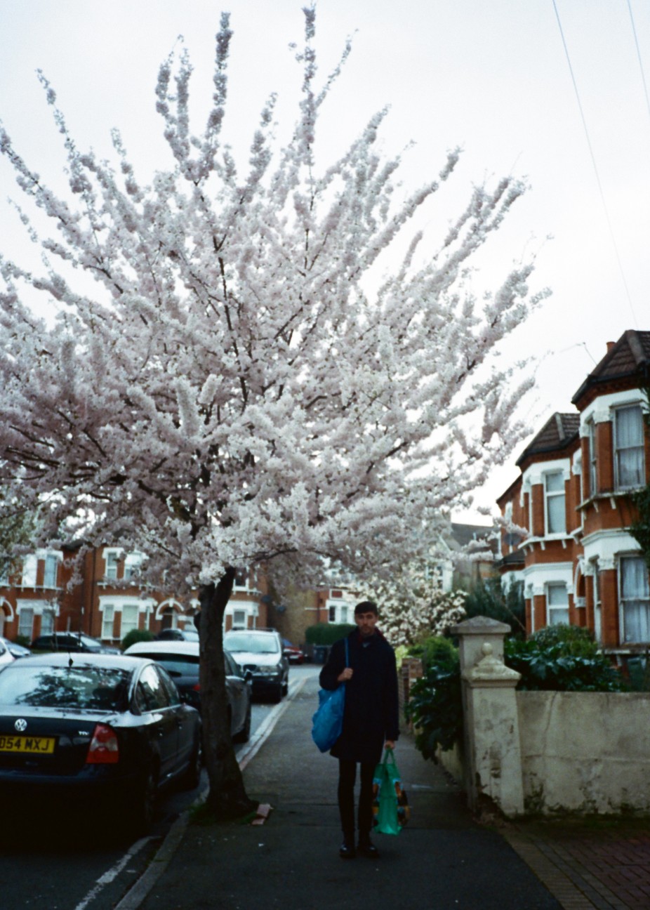 f:id:tomoeagle:20200708034848j:plain f:id:tomoeagle:20200708034848j:plain