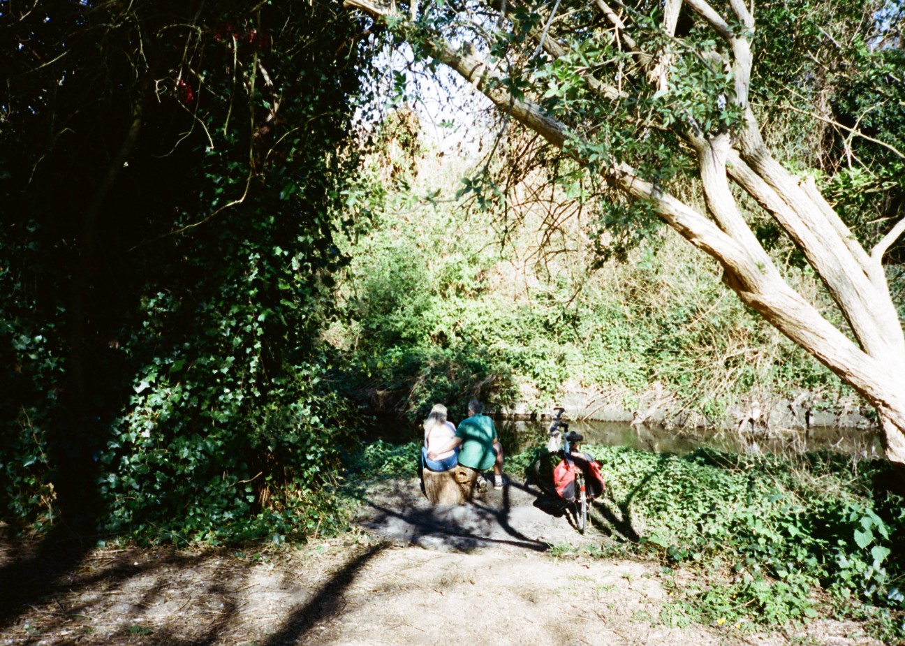 f:id:tomoeagle:20200708035322j:plain f:id:tomoeagle:20200708035322j:plain