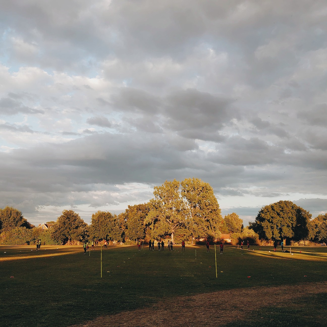 f:id:tomoeagle:20200811202946j:plain