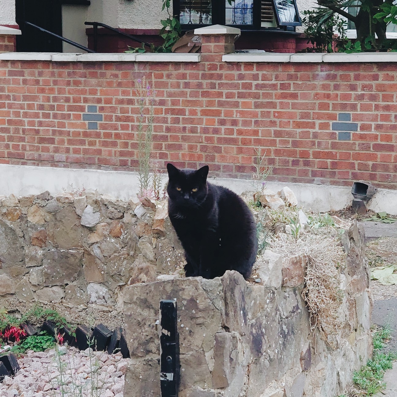 f:id:tomoeagle:20200811203607j:plain