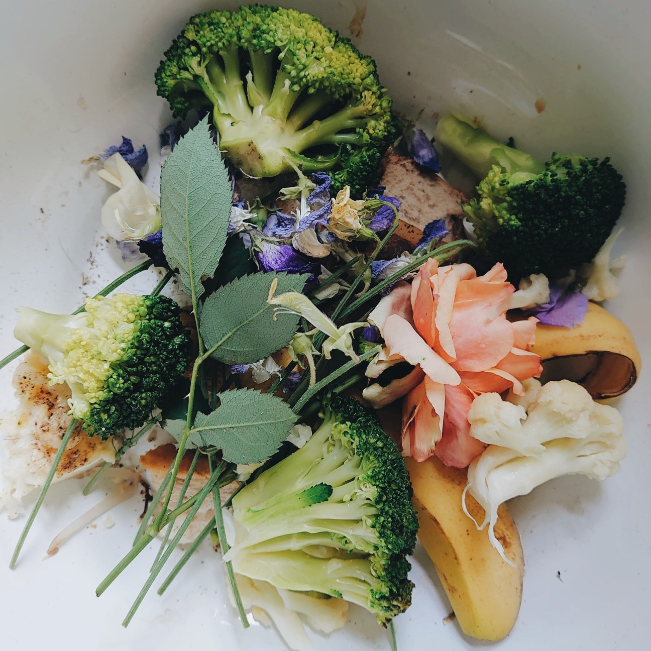 f:id:tomoeagle:20200811203823j:plain