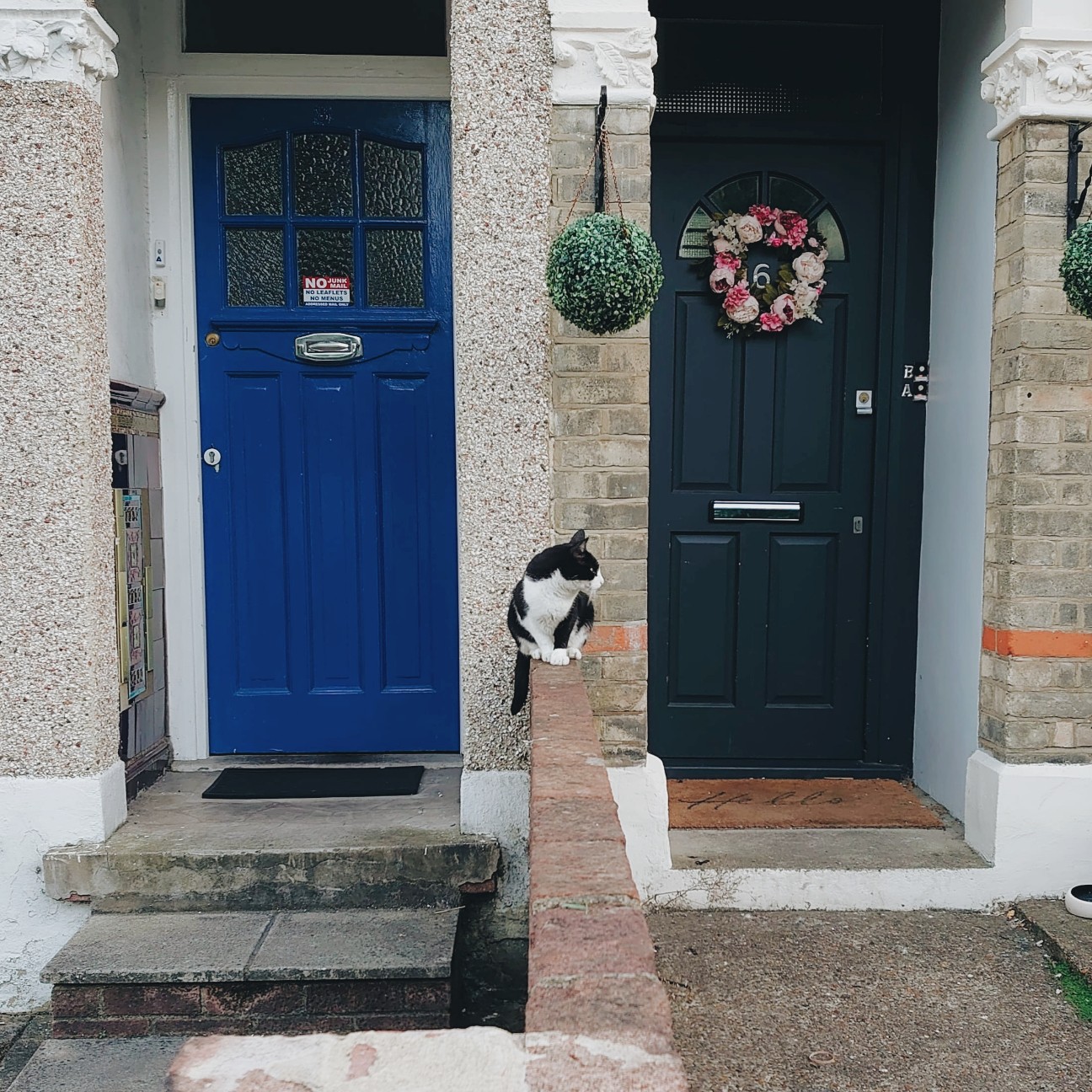 f:id:tomoeagle:20200811204506j:plain