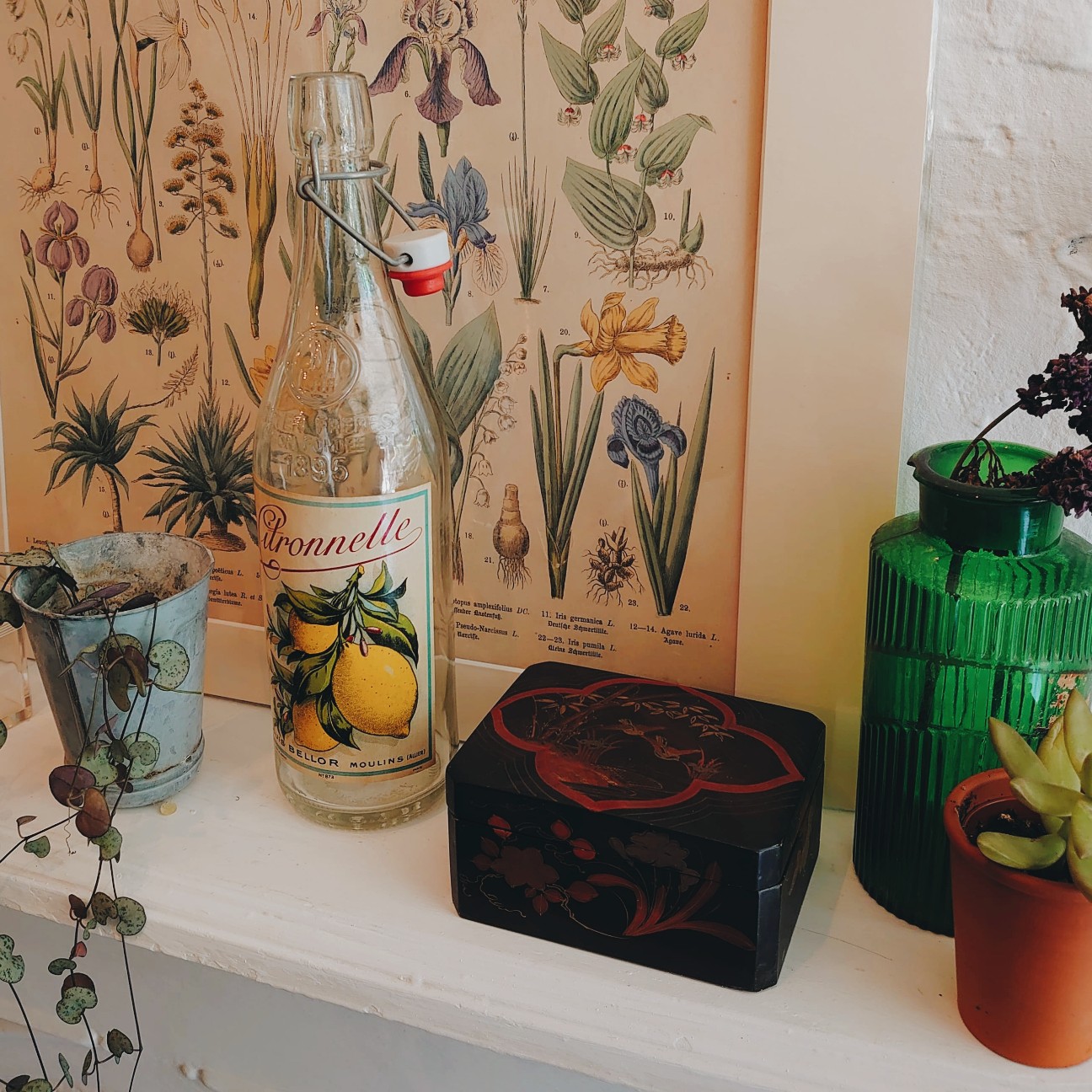 f:id:tomoeagle:20200811210052j:plain