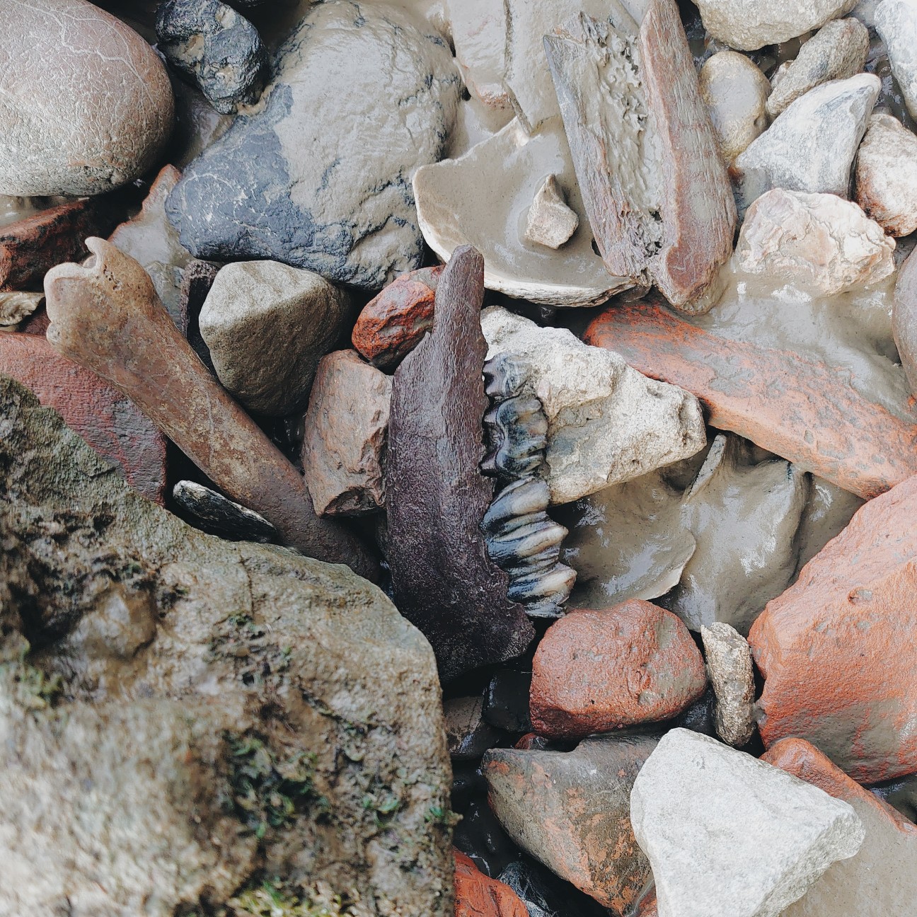 f:id:tomoeagle:20200911081113j:plain