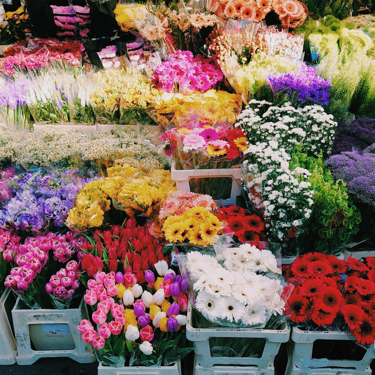 f:id:tomoeagle:20210614070724j:plain