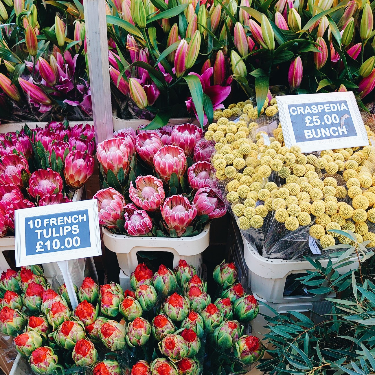 f:id:tomoeagle:20210614070730j:plain