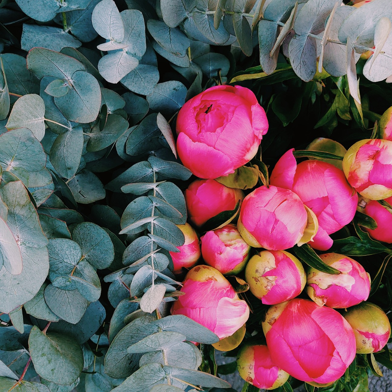 f:id:tomoeagle:20210614070743j:plain