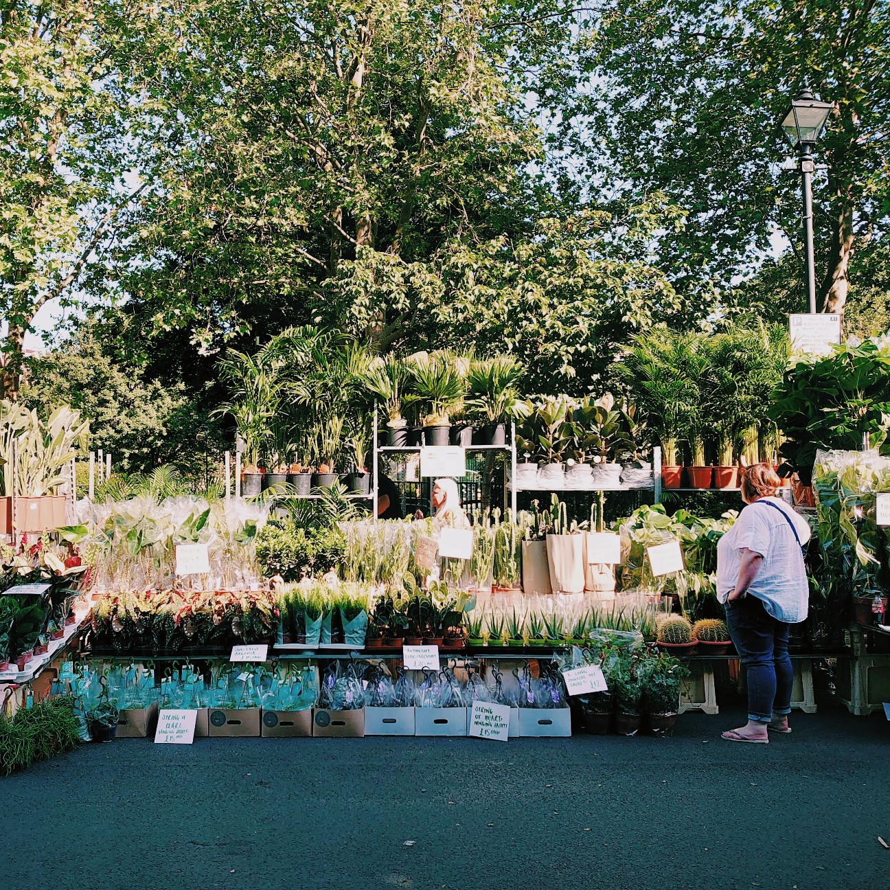 f:id:tomoeagle:20210614070747j:plain