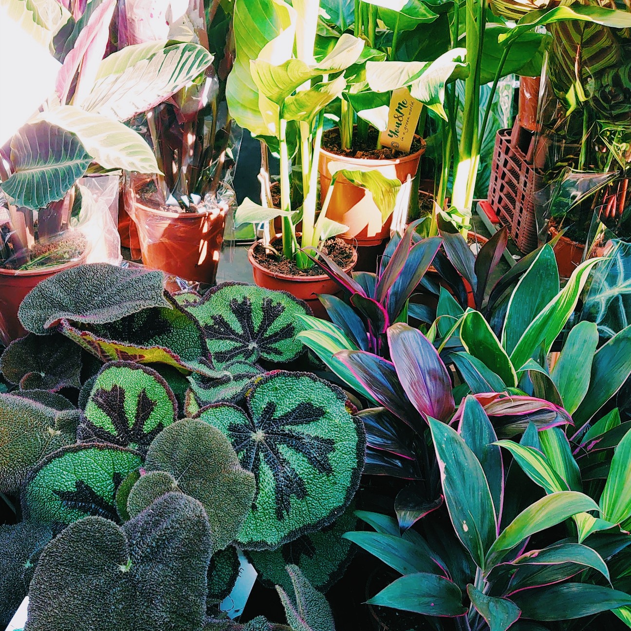 f:id:tomoeagle:20210614070753j:plain