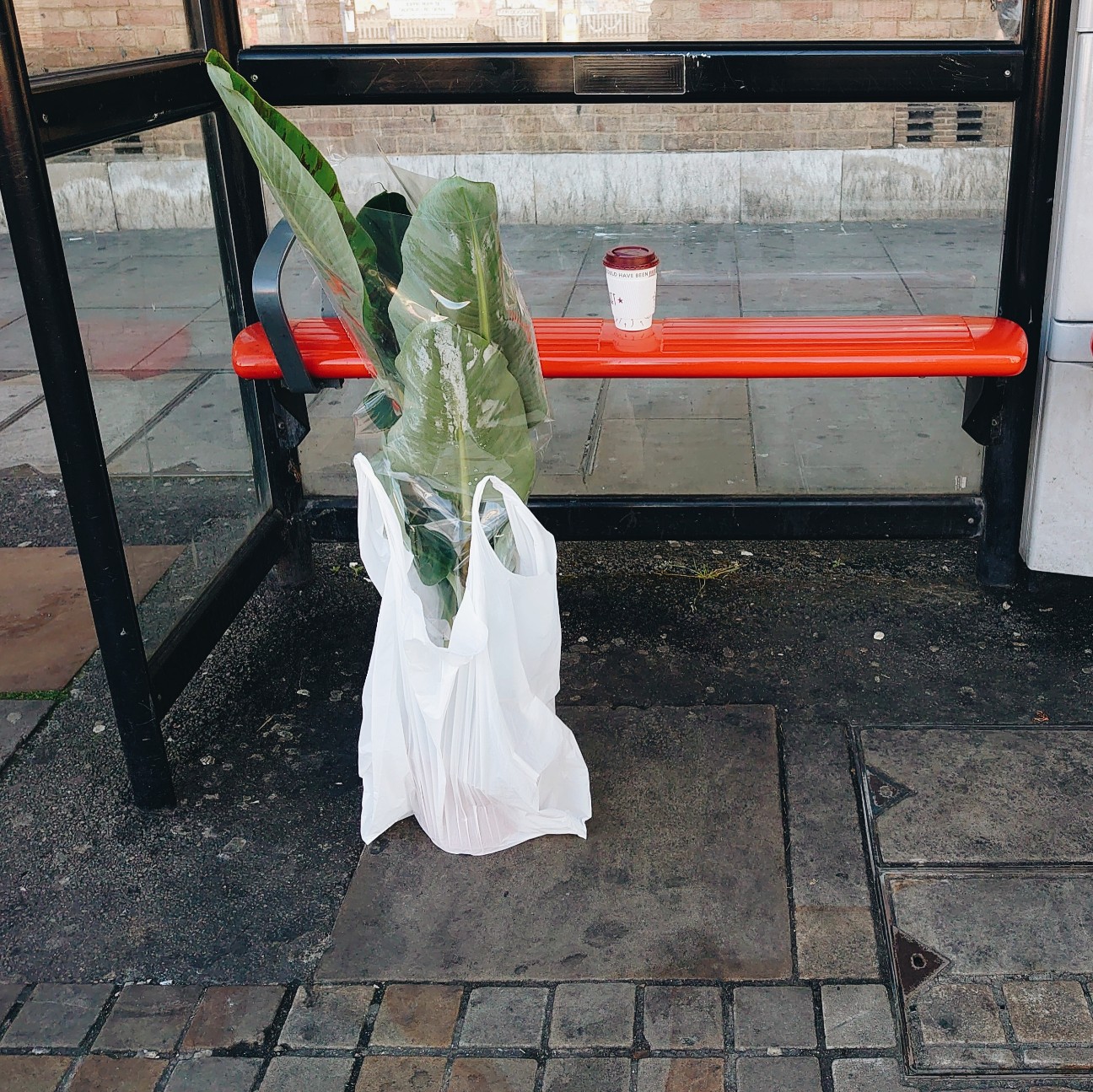 f:id:tomoeagle:20210614070759j:plain