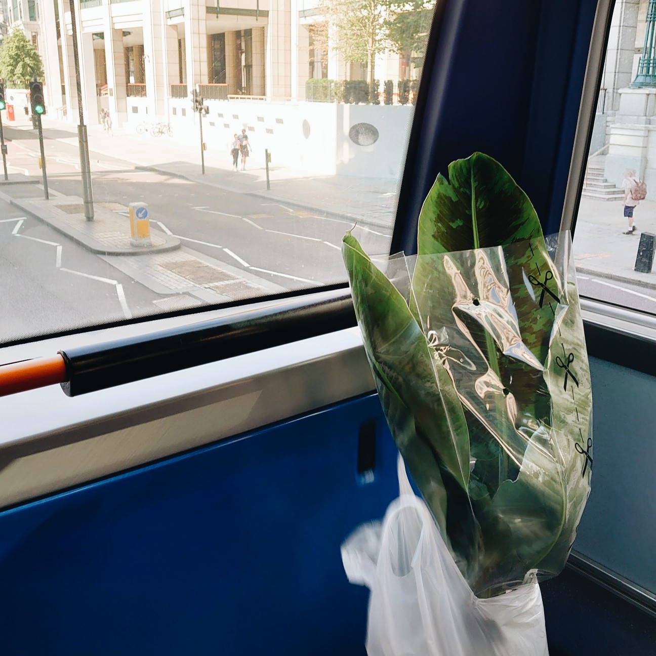 f:id:tomoeagle:20210614070817j:plain