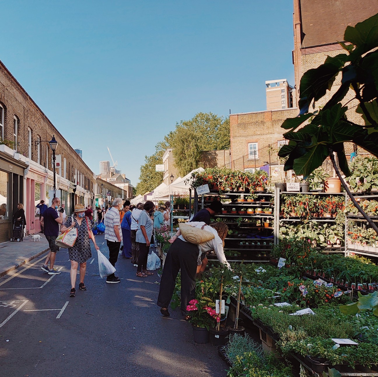 f:id:tomoeagle:20210614070821j:plain