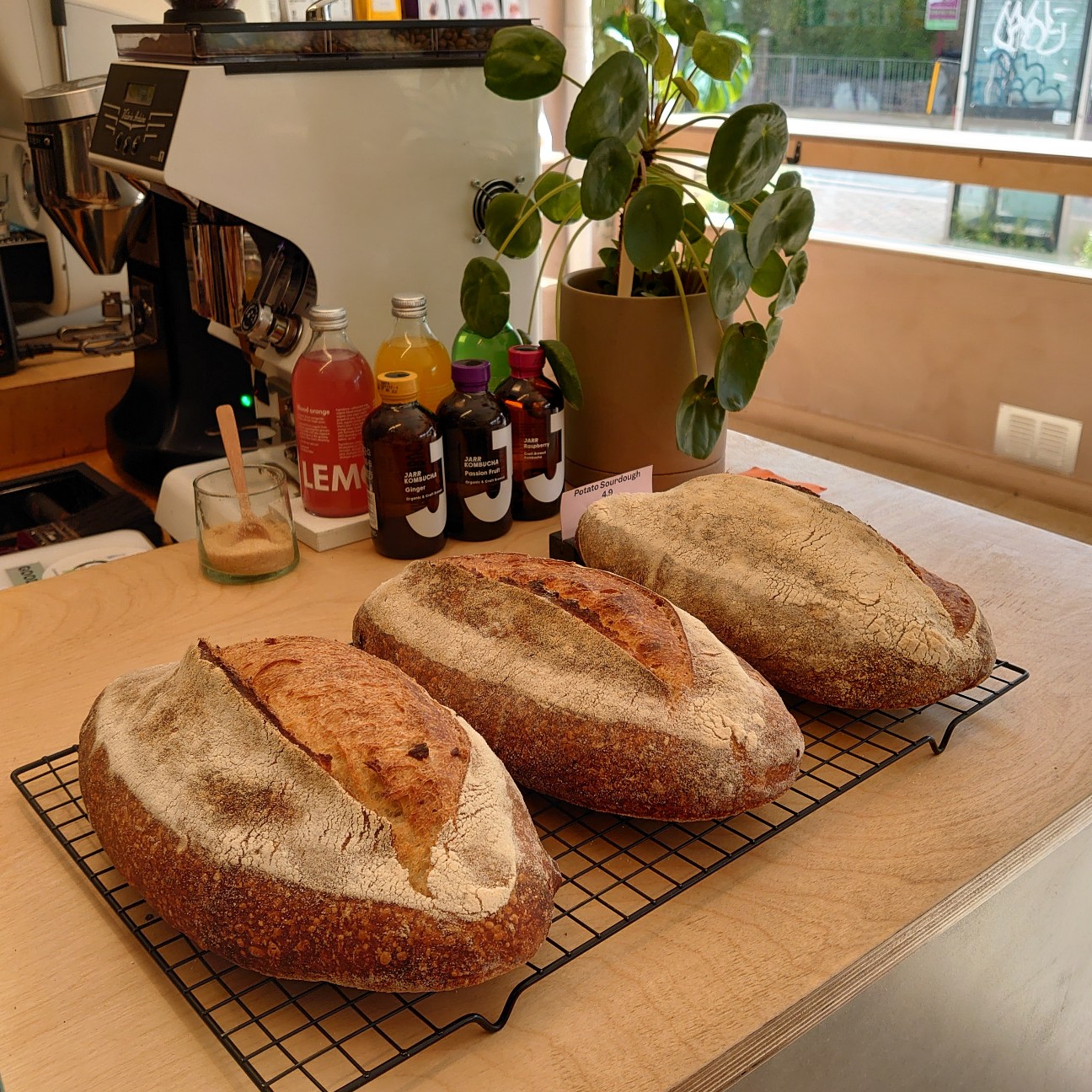 f:id:tomoeagle:20210707220541j:plain