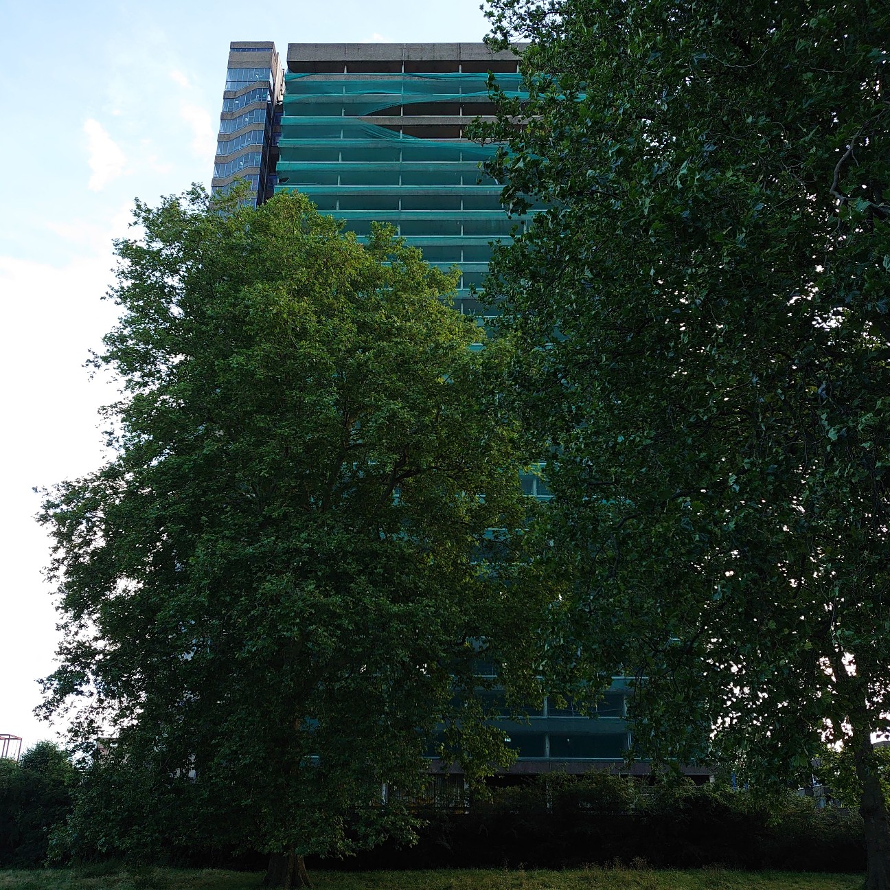 f:id:tomoeagle:20210708224702j:plain