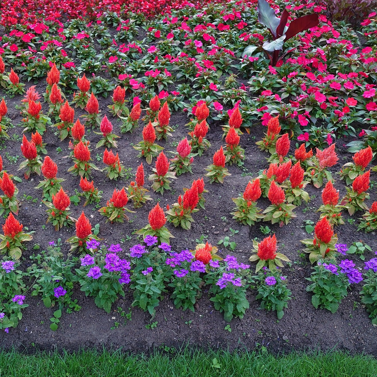 f:id:tomoeagle:20210720013029j:plain