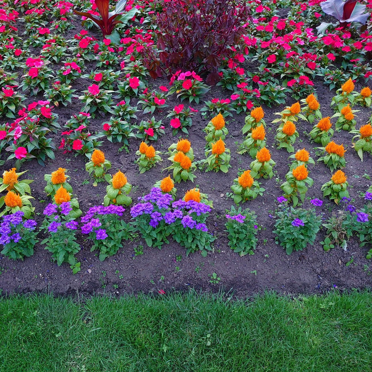 f:id:tomoeagle:20210720013033j:plain