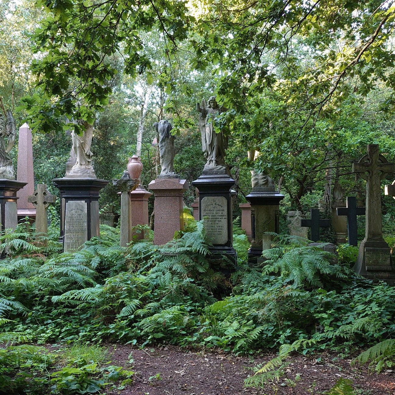 f:id:tomoeagle:20210720013121j:plain